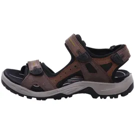 ECCO Offroad Herren espresso/cocoa 42