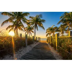 Fototapete PAPERMOON "Strand mit Palmen", bunt, B:4,50m L:2,80m, Vlies, Tapeten
