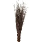 Hausmarke Agrarflora Strauchbesen aus Birkenreisig - Handgefertigt und 3-Fach gebunden, Reisigbesen, Hexenbesen, Reiserbesen, Kehrbesen aus Birkenzweigen, Birkenbesen für Haus & Garten - 1 Stück
