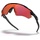 OAKLEY Radar EV Path matte black/prizm trail torch (OO9208-9038)