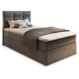masseno Boxbett mit Bettkasten ¦ grau ¦ Maße cm B: 100 H: 98