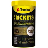 Tropical Crickets 100ml