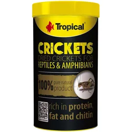 Tropical Crickets 100ml