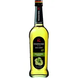 Riemerschmid Holunder 700 ml