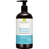 GREENDOOR Basisches Shampoo Eisenkraut Kamille 200 ml