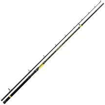 Black Cat Perfect Passion XH-S 2,80m 350g Welsrute