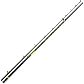 Black Cat Perfect Passion XH-S 2,80m 350g Welsrute