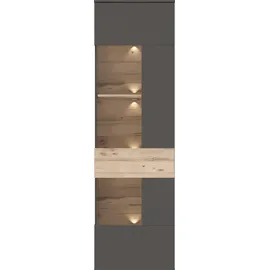 Forte Vitrine Como 60,4 x 41,3 x 203,3 cm Grau