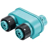 Wieland 46.050.1253.6 Rundstecker Verteiler Gesamtpolzahl: 4 + PE Serie