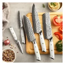 Wakoli Perle Blanche Küchenmesser-Set (5 Messer) mit Messerblock I 67 Lagen Damast mit VG10-Stahlkern | Premium Messerset