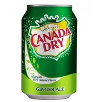 Canada Dry Ginger Ale (72 x 0,33 Liter Dosen PL) Frei Haus Geliefert