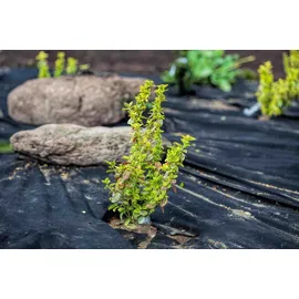 Aquagart 90m2 Gartenvlies Unkrautvlies Unkrautfolie Mulchfolie Mulchvlies 150g 2m breit