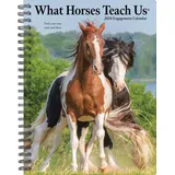 Willow Creek Press What Horses Teach Us 2024 6.5 X 8.5 Engagement Calendar