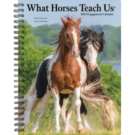 Willow Creek Press What Horses Teach Us 2024 6.5 X 8.5 Engagement Calendar