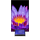 BrightSign XD235 Digital Signage Mediaplayer