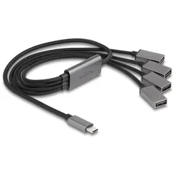 Delock 4 Port USB 2.0 Kabel-Hub mit USB Type-CTM Anschluss 60 cm