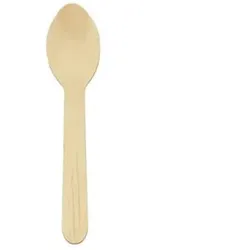 Ekoe Plastic Free Solutions Ekoe Biologisch abbaubarer Einweg-Holzlöffel 16,5 cm 100 Stk