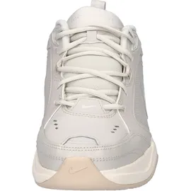 Nike Air Monarch IV Light Bone/Sanddrift/Spruce Aura 42,5