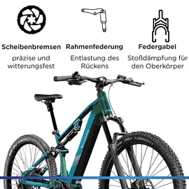 Zündapp X1000 29 Zoll RH 54 cm Damen sunlight magic