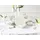 CreaTable Teeservice Venice 18-tlg. creme