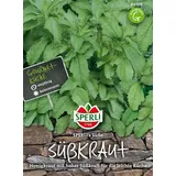 Honigkraut (Stevia)