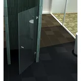 impex-bad 8 mm Nischentür PENDULAR 90 x 190 cm