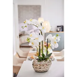 OTTO home Orchidee 13 x 6,5 x 38 cm Weiß/Silberfarben