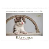 Calvendo Kätzchen-Kalender mit Sprüchen (Wandkalender 2026 DIN A2 quer), CALVENDO Monatskalender: