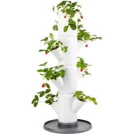 Gusta Garden Sissi Strawberry 32 x 27 x 77 cm Weiß