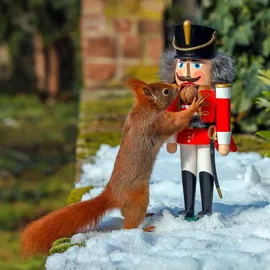 Seiffener Volkskunst eG Seiffener Volkskunst Nussknacker Husar rot Größe 37 cm