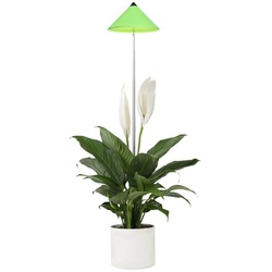 PARUS Pflanzenlampe Indoor plants, Leuchtmittel für Pflanzen, Teleskopstab 1m, SUNLiTE Pflanzenlampe 7W Grün