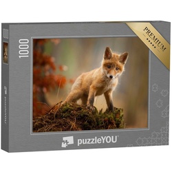 puzzleYOU Puzzle Ein junger Fuchs, 1000 Puzzleteile, puzzleYOU-Kollektionen Tiere, Füchse, 48 Teile, Schwierig, 100 Teile