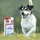 Ewalia Halswohlsaft für Hunde 500 ml