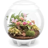 biOrb AIR 60 weiß