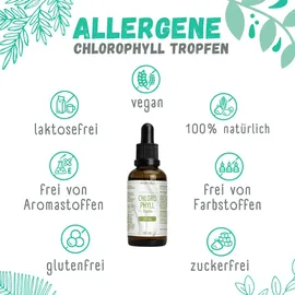 sinoplasan gmbh Chlorophyll Tropfen 50 ml