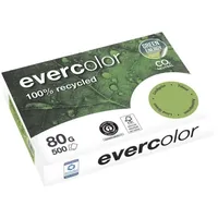 Clairefontaine EverColor A4 80 g/m2 500 Blatt