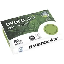 Clairefontaine EverColor A4 80 g/m2 500 Blatt