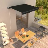 vidaXL Einziehbare Handbetrieben Markise 300 x 250 cm anthrazit 3051237