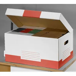 Cartonia Archivcontainer für individuelle Aufbewahrung 54,8 x 36,4 x 26,8 cm