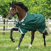 Horseware Rambo Original Turnout lite 0g - green/silver 125