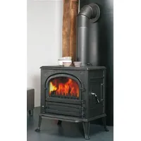 Globe-Fire Kaminofen Globe-fire Neptune raumluftunabhängig Vollguss schwarz 7kW