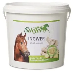 Stiefel Ingwer 1 kg