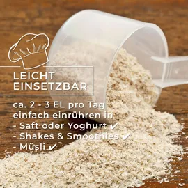 greatvita Bio Flohsamenschalen 99% rein 500 g