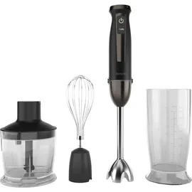 Aiwa Kenkiri 1500 Plus Stabmixer