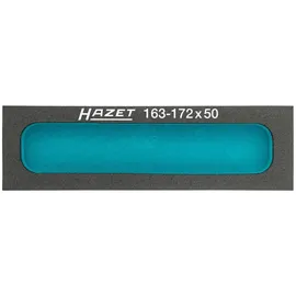 HAZET Werkzeugeinlage Kunststoff 163 x 172 x 50 mm bunt