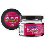 BIOHERBA R Mumijo Extrakt Shilajit Kapseln 20 g