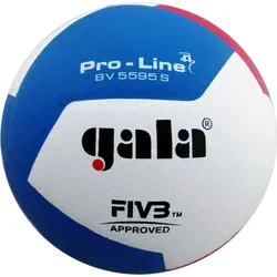 Volleyball Pro-Line BV5595S Volleyball Unisex Blau-Weiß-Rot bunt 5