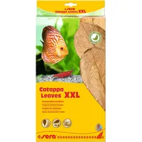 Sera Seemandelbaumblätter Catappa XXL 30-35 cm (10 Stück)