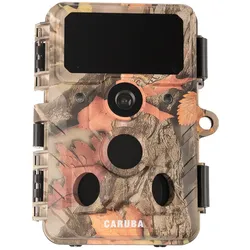 Caruba Wildlife Kamera Elch 4K