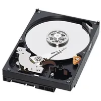 Western Digital Festplatte 3 TB - Sata (3 TB,